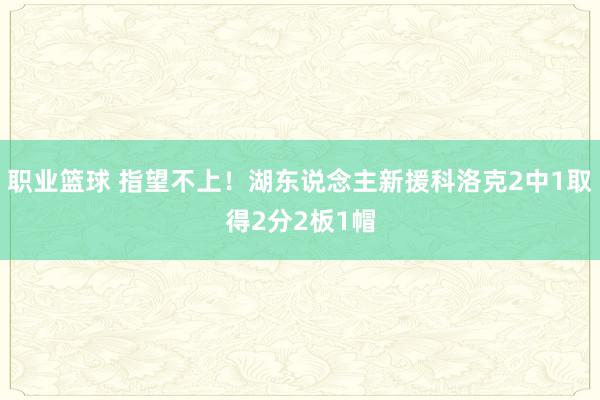 职业篮球 指望不上！湖东说念主新援科洛克2中1取得2分2板1帽