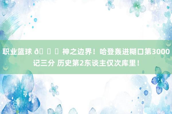 职业篮球 😀神之边界！哈登轰进糊口第3000记三分 历史第2东谈主仅次库里！