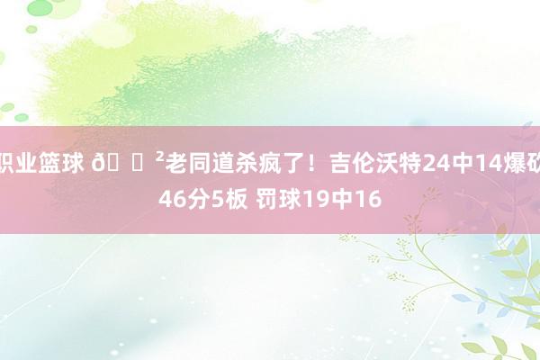 职业篮球 😲老同道杀疯了！吉伦沃特24中14爆砍46分5板 罚球19中16