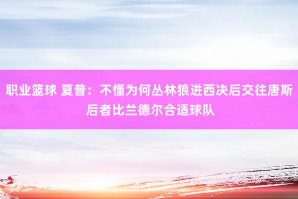 职业篮球 夏普：不懂为何丛林狼进西决后交往唐斯 后者比兰德尔合适球队