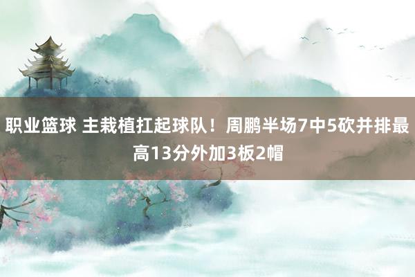 职业篮球 主栽植扛起球队！周鹏半场7中5砍并排最高13分外加3板2帽