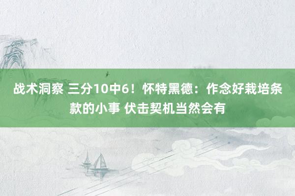 战术洞察 三分10中6！怀特黑德：作念好栽培条款的小事 伏击契机当然会有