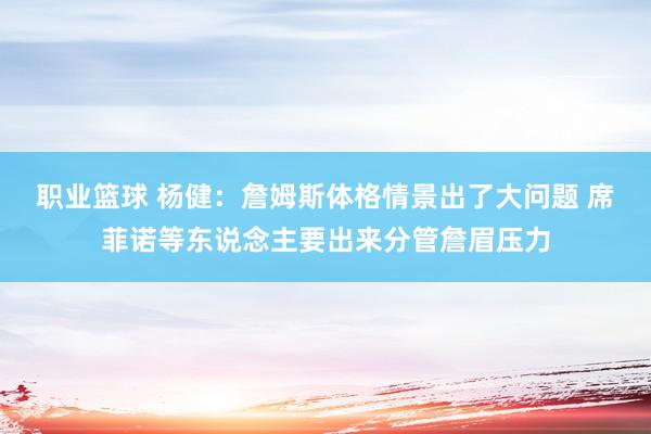 职业篮球 杨健：詹姆斯体格情景出了大问题 席菲诺等东说念主要出来分管詹眉压力