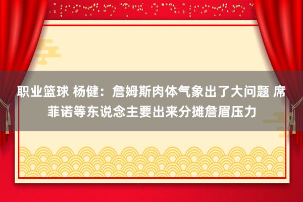 职业篮球 杨健：詹姆斯肉体气象出了大问题 席菲诺等东说念主要出来分摊詹眉压力