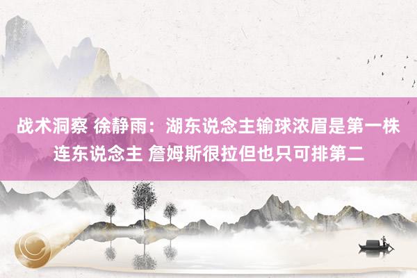 战术洞察 徐静雨：湖东说念主输球浓眉是第一株连东说念主 詹姆斯很拉但也只可排第二