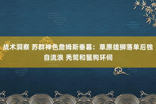 战术洞察 苏群神色詹姆斯垂暮：草原雄狮落单后独自流浪 秃鹫和鬣狗环伺