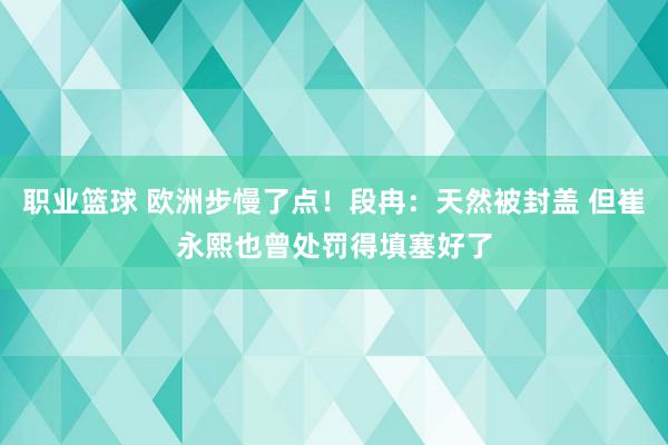 职业篮球 欧洲步慢了点！段冉：天然被封盖 但崔永熙也曾处罚得填塞好了