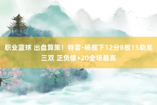 职业篮球 出盘算策！特雷-杨揽下12分8板15助准三双 正负值+20全场最高