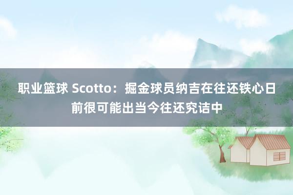 职业篮球 Scotto：掘金球员纳吉在往还铁心日前很可能出当今往还究诘中