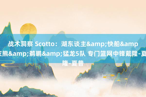 战术洞察 Scotto：湖东谈主&快船&灰熊&鹈鹕&猛龙5队 专门篮网中锋戴隆-夏普