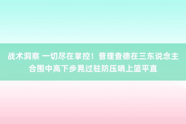 战术洞察 一切尽在掌控！普理查德在三东说念主合围中高下步晃过驻防压哨上篮平直