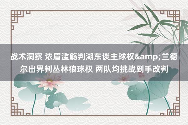 战术洞察 浓眉滥觞判湖东谈主球权&兰德尔出界判丛林狼球权 两队均挑战到手改判