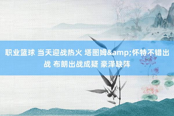 职业篮球 当天迎战热火 塔图姆&怀特不错出战 布朗出战成疑 豪泽缺阵