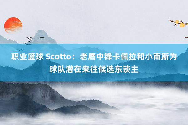 职业篮球 Scotto：老鹰中锋卡佩拉和小南斯为球队潜在来往候选东谈主